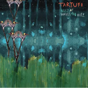 Nests of waves and wire